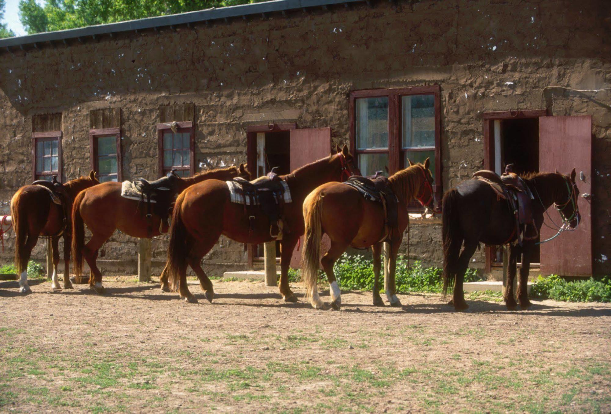 Готель The Ranch At Ucross Екстер'єр фото